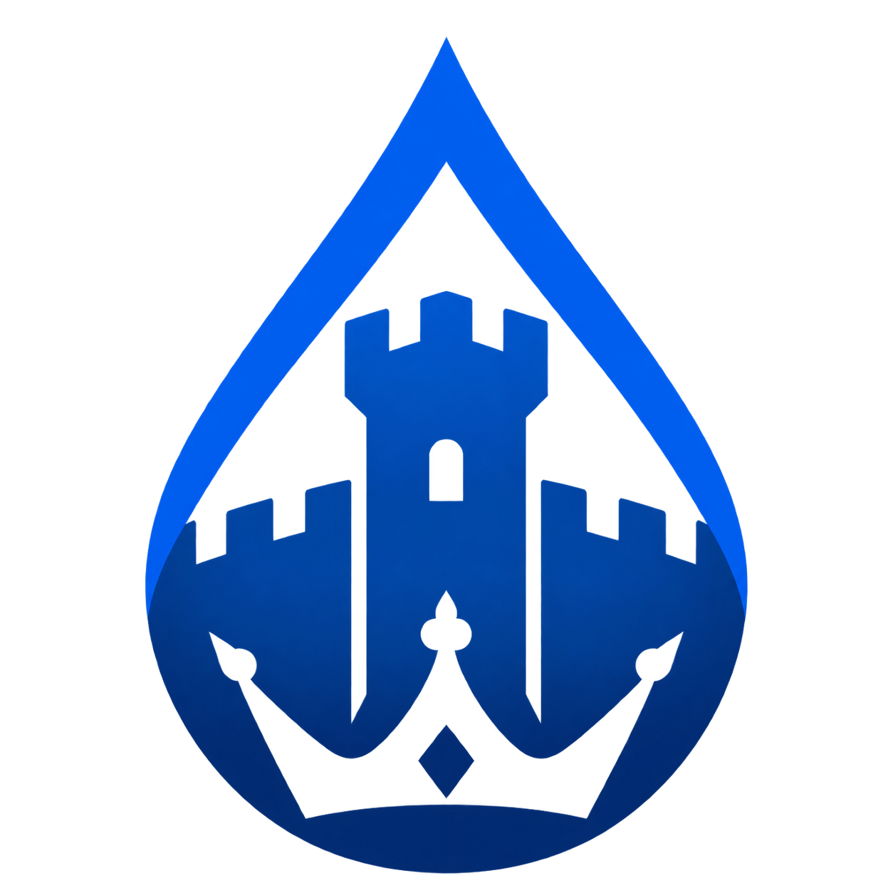 Blue Reign Marketing emblem
